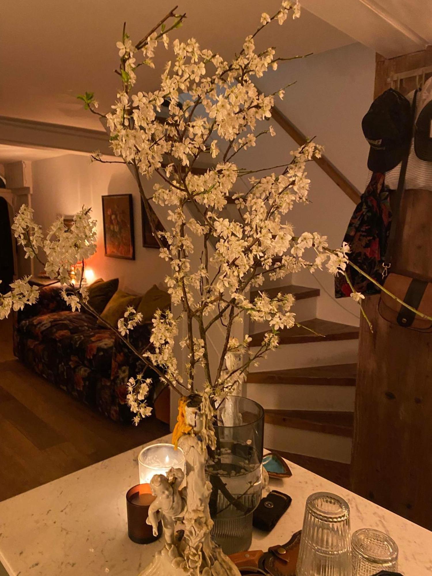 Stylish & Cosy Boutique Townhouse 1 Bedroom, 1 Sofa Bed - Sleeps 4 Christchurch  Kültér fotó